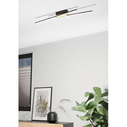 Eglo - Plafonnier à intensité variable 2xLED/13W/230V