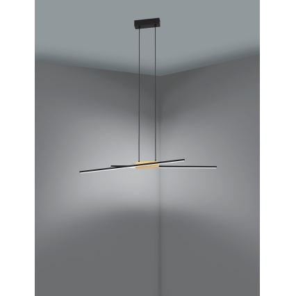 Eglo - Lampadario a sospensione con filo LED dimmerabile 2xLED/13W/230V