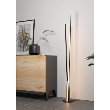 Eglo - Lampadaire LED/24W/230V