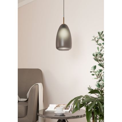 Eglo - Hängeleuchte an Kabel 1xE27/40W/230V