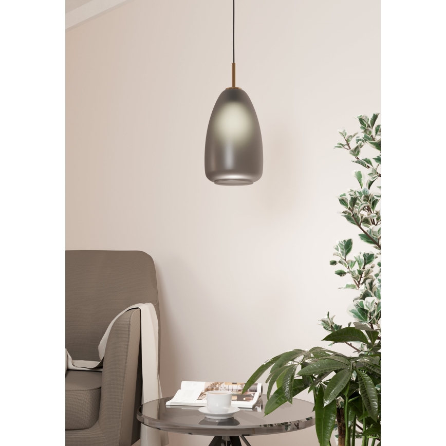 Eglo - Hängeleuchte an Kabel 1xE27/40W/230V