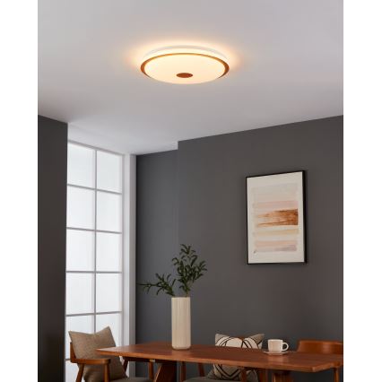 Eglo - Plafoniera LED dimmerabile LED/35W/230V + telecomando