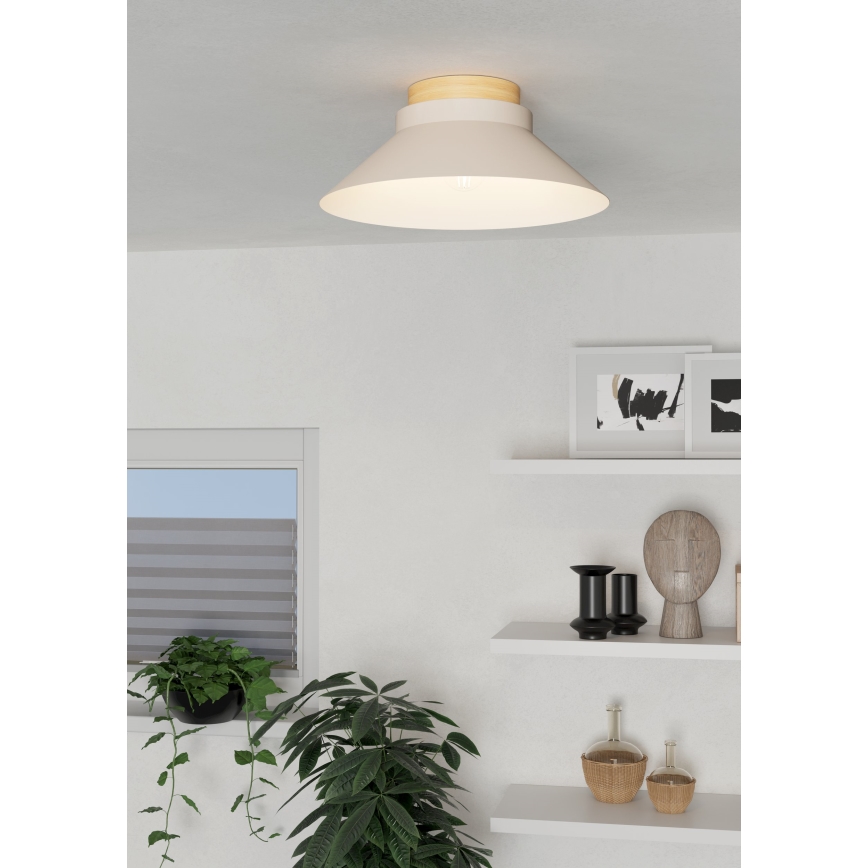 Eglo - Plafoniera 1xE27/40W/230V