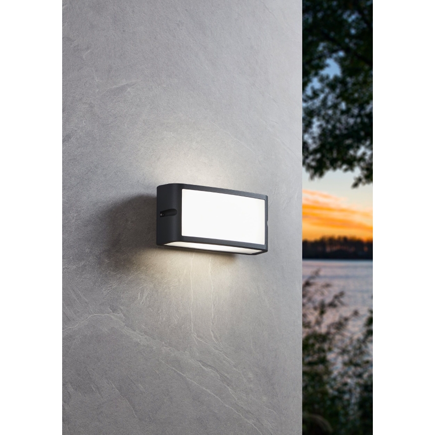 Eglo - LED-Wandleuchte für den Außenbereich LED/10,5W/230V anthrazit IP54
