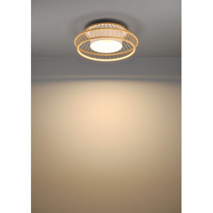Eglo - Plafoniera dimmerabile RGBW LED/22W/230V 2700-6500K