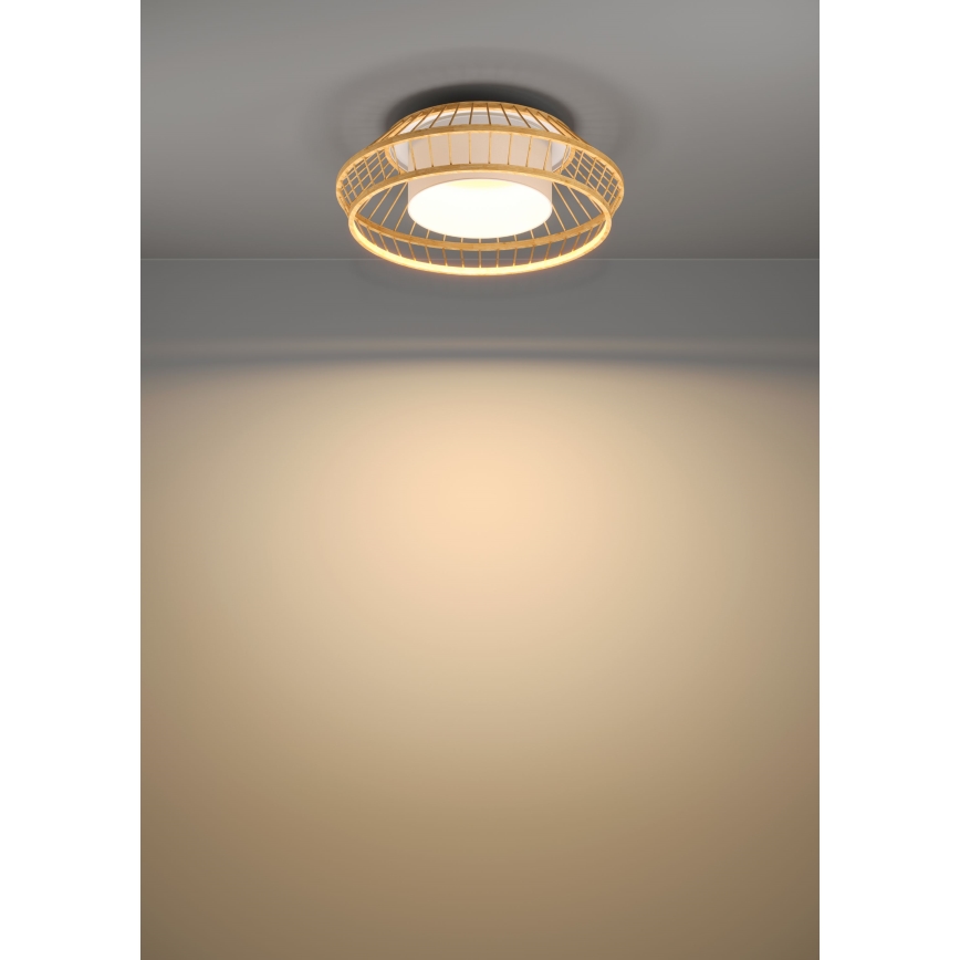 Eglo - Plafoniera dimmerabile RGBW LED/22W/230V 2700-6500K