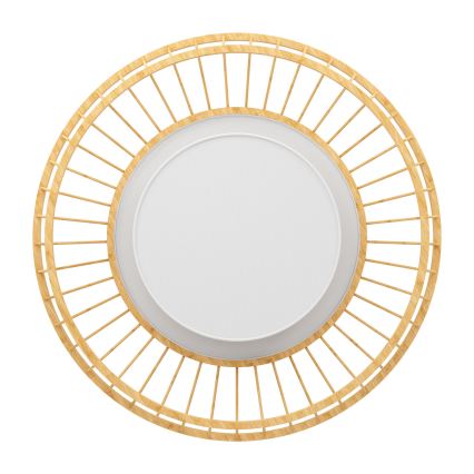 Eglo - Plafoniera dimmerabile RGBW LED/22W/230V 2700-6500K