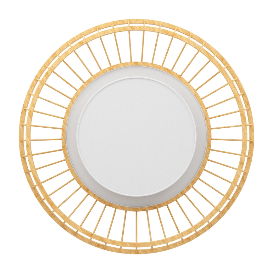 Eglo - Plafoniera dimmerabile RGBW LED/22W/230V 2700-6500K