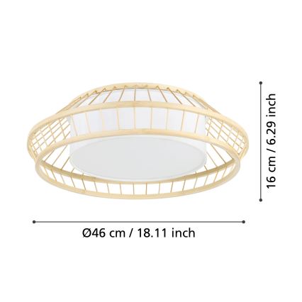 Eglo - Plafoniera dimmerabile RGBW LED/22W/230V 2700-6500K