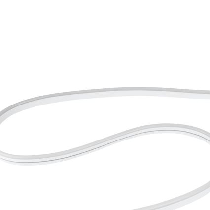 Eglo - Ruban RGBW à intensité variable 5m LED/30W/230V 3000-6500K