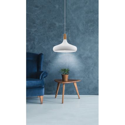 Eglo - Suspension sur câble 1xE27/40W/230V Ø 40 cm, blanche