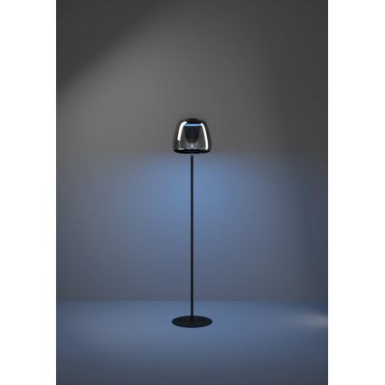 Eglo - Lampada da terra dimmerabile LED RGBW LED/15,5W/230V 2700-6500K fumé