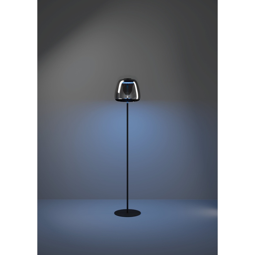 Eglo - Lampada da terra dimmerabile LED RGBW LED/15,5W/230V 2700-6500K fumé