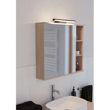 Eglo 901287 - Illuminazione LED RGBW Dimmerabile per bagno REGELLO-Z 12W/230V IP44 nero