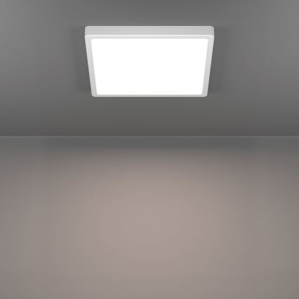 Eglo - LED-Deckenleuchte LED/13W/230V 2700/4000/6500K 29x29 cm weiß