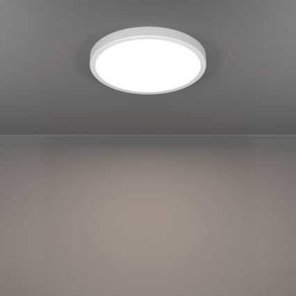 Eglo - Plafoniera da bagno a LED/14,2W/230V Ø 27,8 cm IP44 bianca