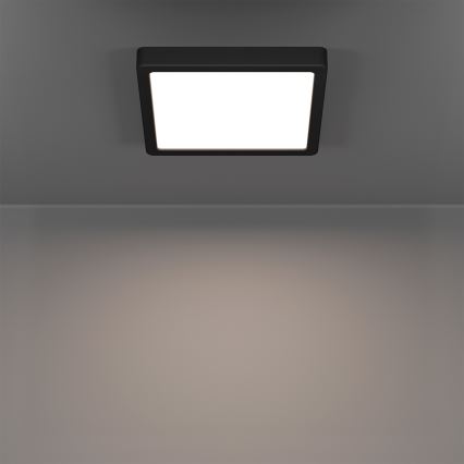 Eglo - Plafoniera LED RGBW dimmerabile per bagno LED/10,5W/230V 2700-6500K 22x22 cm IP44 nera