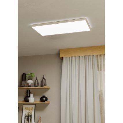 Eglo - LED-Deckenleuchte für den Outdoor-Bereich LED/17,2W/230V 2700/4000/6500K 30x57 cm IP44 weiß