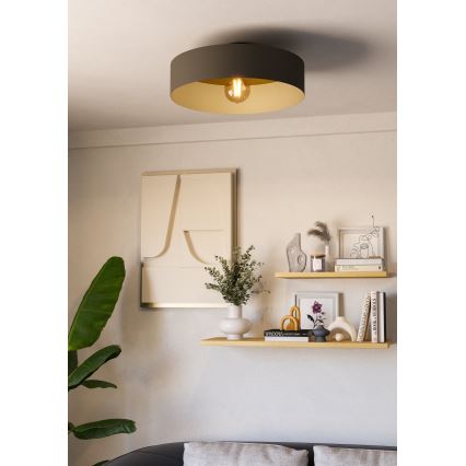 Eglo - Plafoniera 1xE27/40W/230V grigio