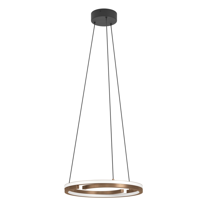 Eglo - Lampadario LED dimmerabile a sospensione con cavo 2xLED/20W/230V 2700-6500K Ø 48 cm bronzo + telecomando