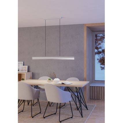 Eglo - Suspension LED RGBW dimmable sur câble LED/19W/230V 2700-6500K gris
