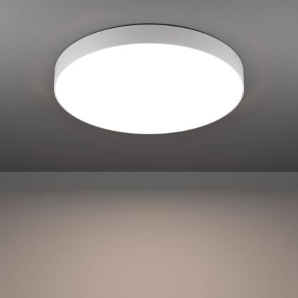 Eglo - Plafoniera LED RGBW dimmerabile LED/36,5W/230V 2700-6500K diam. 69 cm bianco
