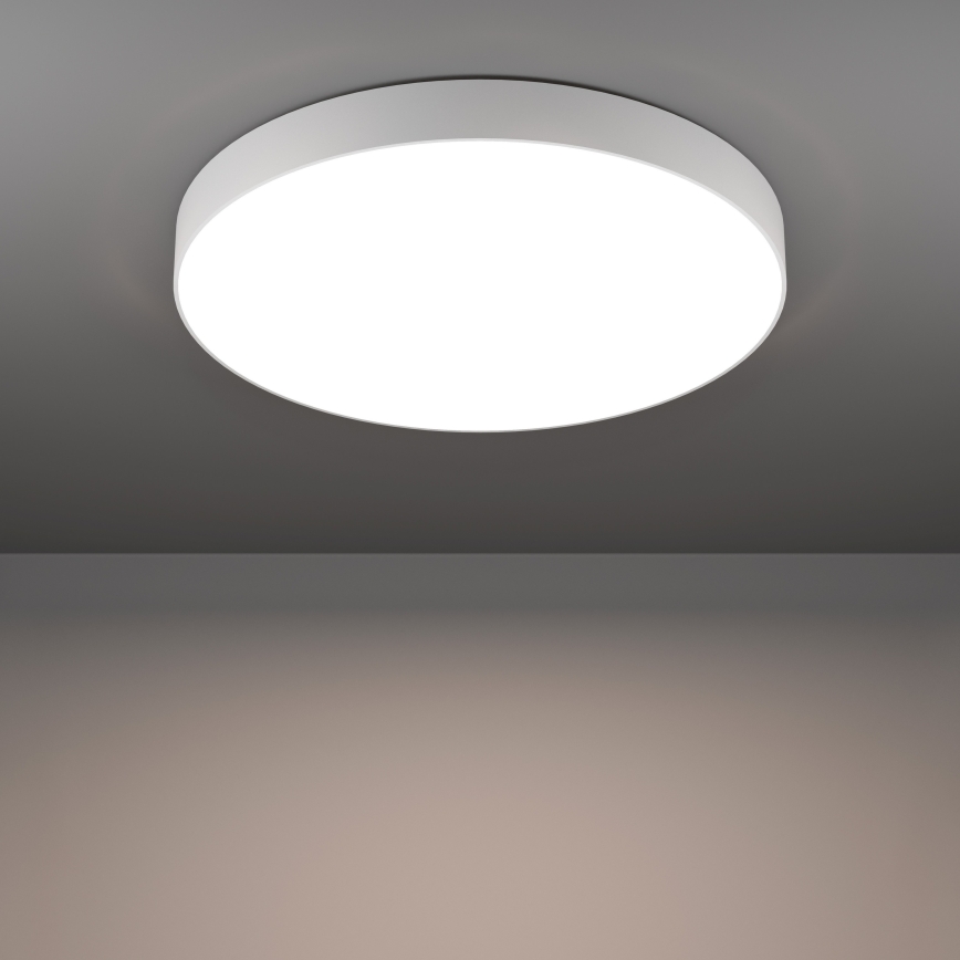 Eglo - Plafonnier LED RGBW dimmable/36,5W/230V 2700-6500K Ø 69 cm blanc