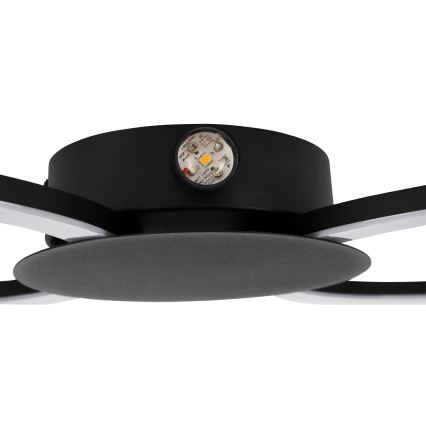 Eglo - Applique murale LED/20W/230V + LED/0,91W noire