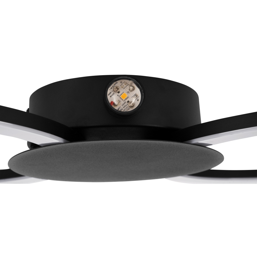 Eglo - LED-Wandleuchte LED/20W/230V + LED/0,91W schwarz