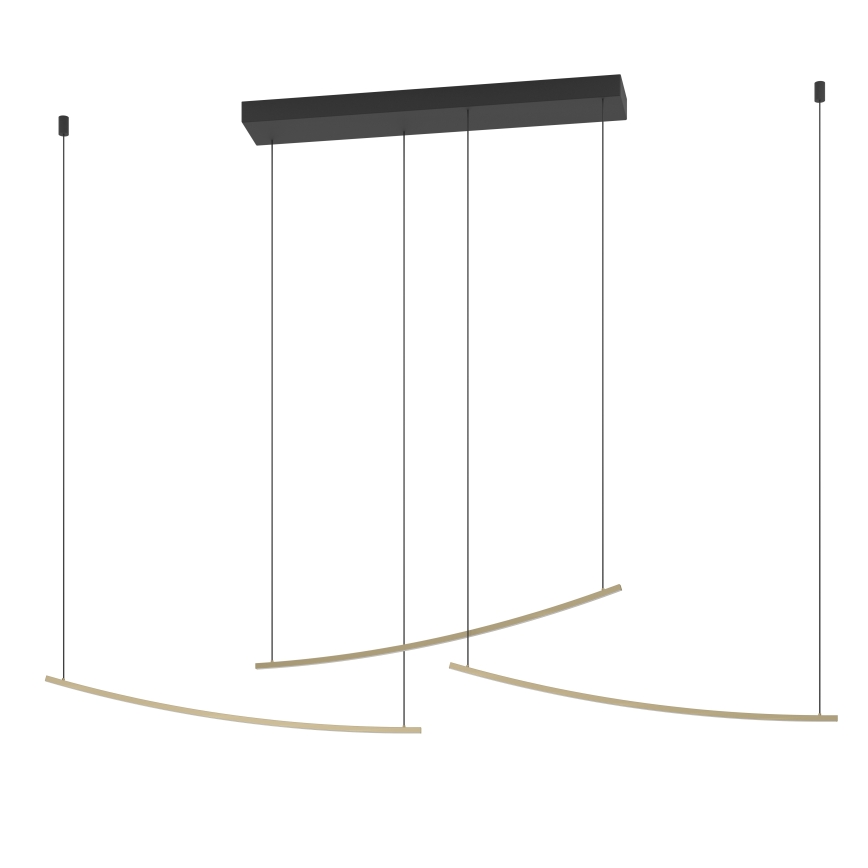 Eglo - LED-dimmbare Pendelleuchte an Kabel LED/22W/230V 2700/4000/6500K goldfarben