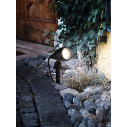 Eglo - Illuminazione LED da esterno 1xGU10/3W/230V