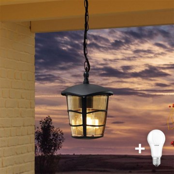Eglo 93406 - Lustre LED d'extérieur ALORIA 1xE27/8,5W/230V IP44