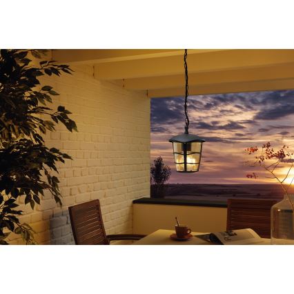 Eglo 93406 - Lustre LED d'extérieur ALORIA 1xE27/8,5W/230V IP44