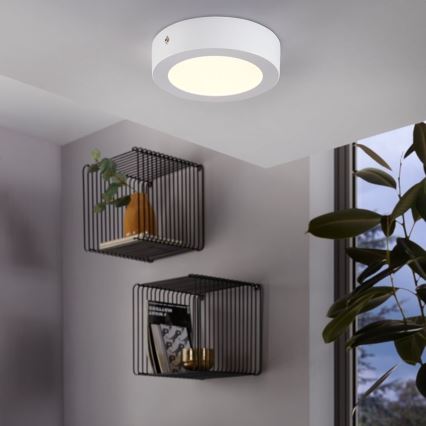 Eglo 94071 - Plafonnier LED FUEVA 1 LED/10,95 W/230 V Ø 17 cm