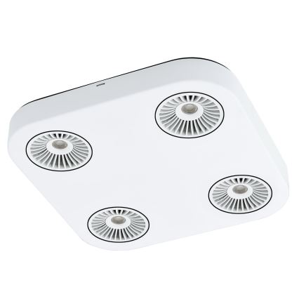Eglo 94178 - LED Spotleuchte MONTALE 4xLED/5,4W/230V