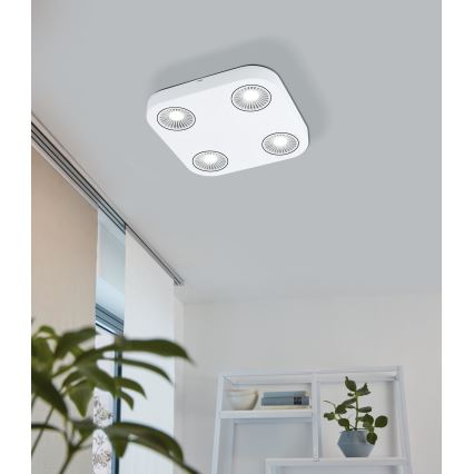 Eglo 94178 - LED Spotleuchte MONTALE 4xLED/5,4W/230V