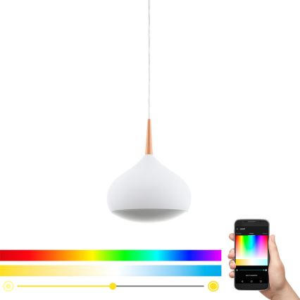 Eglo 97087 - Lampada a sospensione LED RGBW dimmerabile COMBA-C LED/18W/230V
