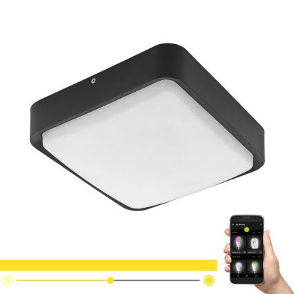 Eglo – Dimmbare LED-Deckenleuchte für den Außenbereich LED/14,6W/230V