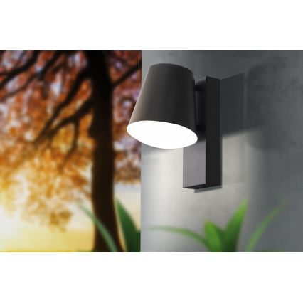 Eglo 97482 - Lampada da parete esterna dimmerabile a LED CALDIERO-C 1xE27/9W/230V IP44