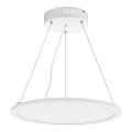 Eglo 97504 - Suspension LED dimmable à câble SARSINA LED/28W/230V