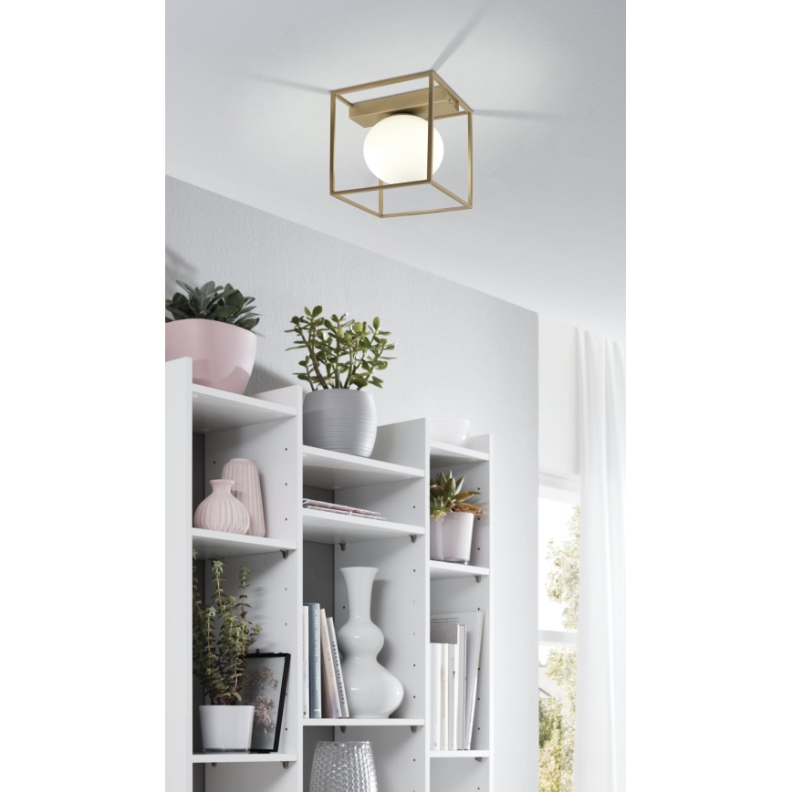 Eglo 97791 - Aufgesetzte Deckenleuchte VALLASPRA 1xE14/40W/230V