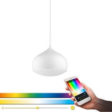 Eglo 98047 - Lampada a sospensione LED RGBW dimmerabile su cavo COMBA-C LED/18W/230V