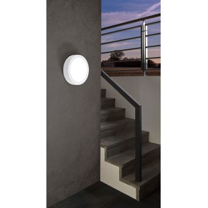 Eglo 98171 - Luminaire d'extérieur LED dimmable ARGOLIS-C LED/16,5W/230V IP44