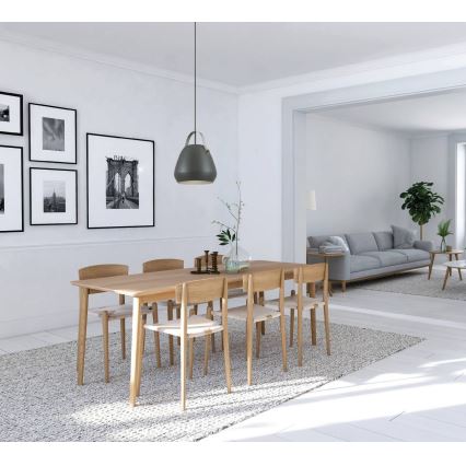 Eglo 98349 - Hängeleuchte an Kabel BEDNALL 1xE27/60W/230V