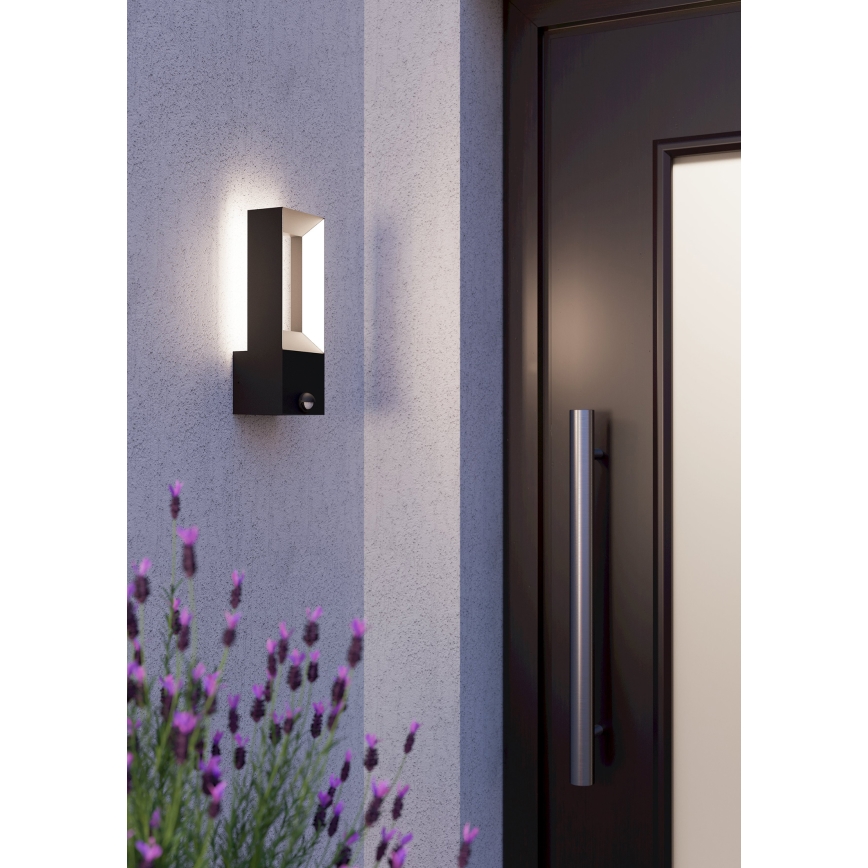 Eglo - Lampada LED da esterno con sensore  2xLED/5W/230V IP44