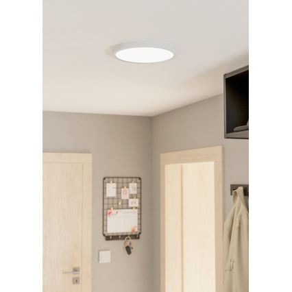Eglo - Plafoniera LED LED/20W/230V
