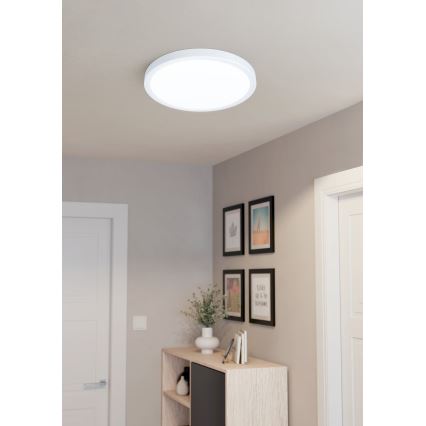 Eglo - Plafoniera LED LED/20W/230V