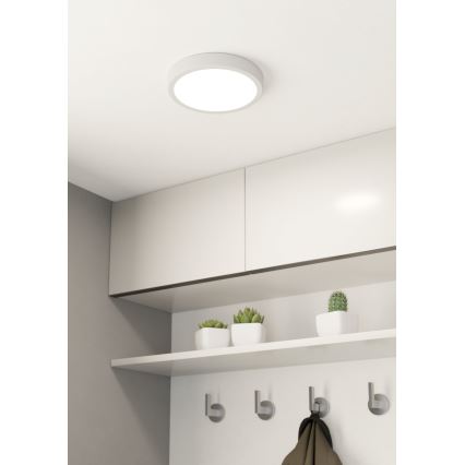 Eglo - Plafoniera LED dimmerabile LED/16,5W/230V