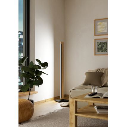 Eglo - Lampadaire tactile à intensité variable CAMACHO LED/22W/230V