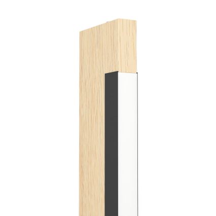Eglo - Lampadaire tactile à intensité variable CAMACHO LED/22W/230V